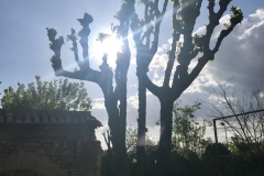 Foto 04.04.19, 18 47 34