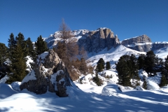 IMG_20190122_130556533