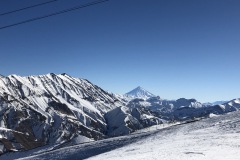 IMG_2921