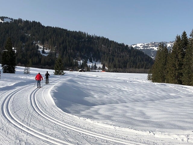 3C95C976-1126-495F-853C-63C533193646